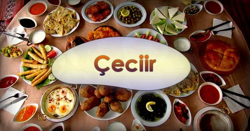 What Should You Know About Çeciir? A Brief Guide